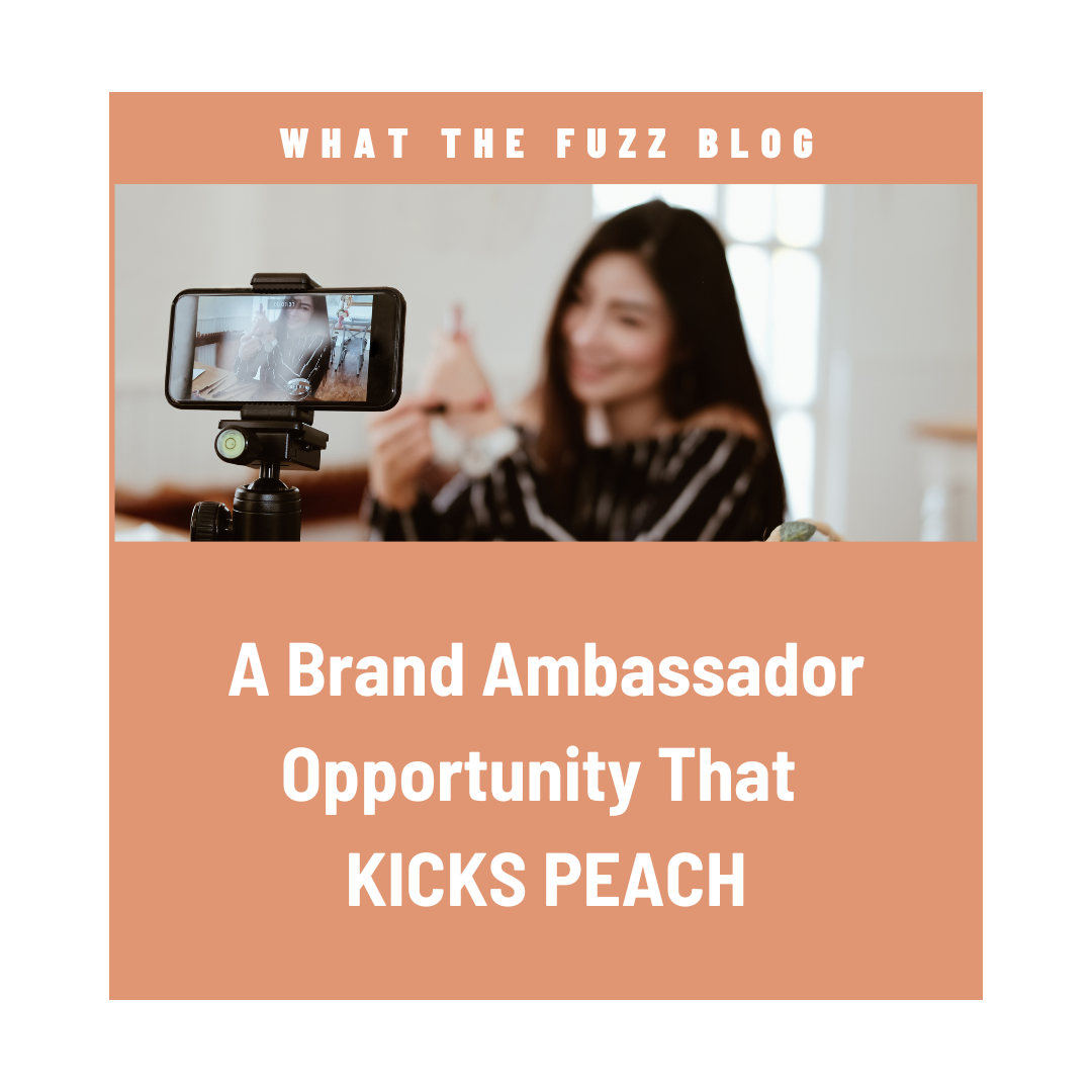 A Brand Ambassador Program that KICKS PEACH